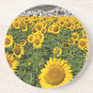 Posavasos Campos de girasoles, pueblo de la colina blanca de