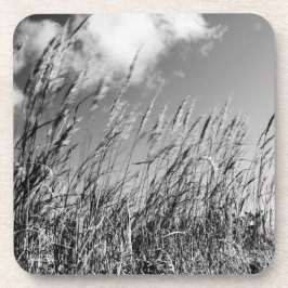 Posavasos campos de trigo