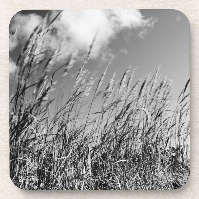 Posavasos campos de trigo (Frente)