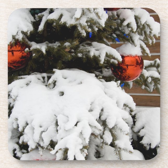 Posavasos Canadá, Alberta, Jasper, Jasper NP. Fairmont 2 (Frente)