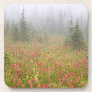 Posavasos Canadá, Columbia Británica, Revelstoke Nacional