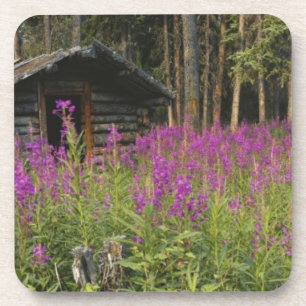 Posavasos Canadá, Yukón, área de Ross River, cabaña abandona