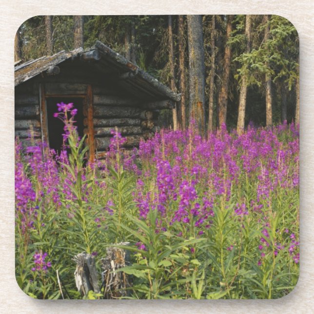 Posavasos Canadá, Yukón, zona del Río Ross, cabina abandonad (Frente)