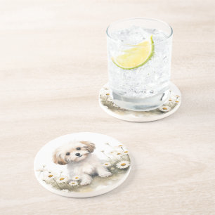 Posavasos Canales De Agua En Daisies
