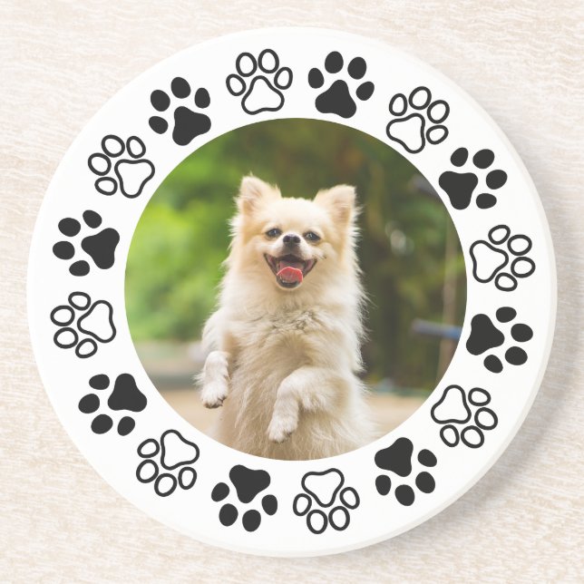 Posavasos Canina de retrato de perro disecable (Frente)