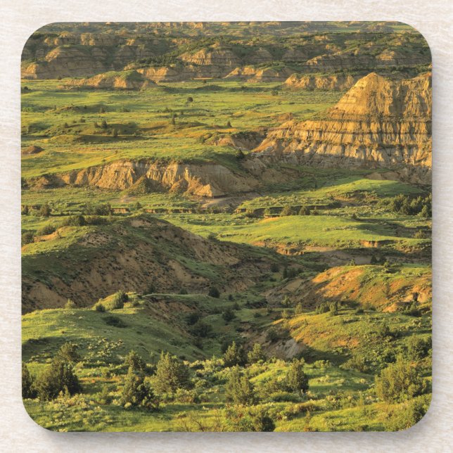 Posavasos Cañón pintado tras tormenta en Theodore Roosevelt (Frente)