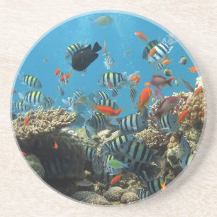 Posavasos Caos tropical de los pescados