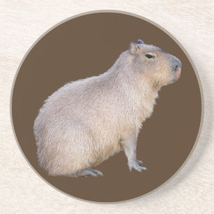 Posavasos Capibara