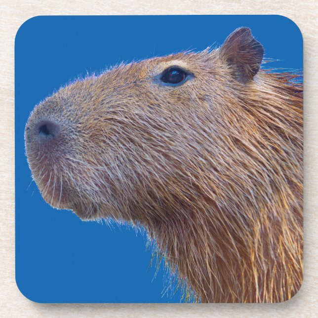 Posavasos Capibara (Frente)