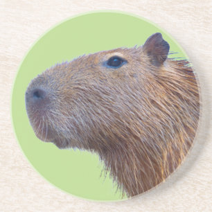 Posavasos Capibara