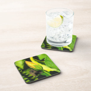 Posavasos Capullo de Flor de Hibisco