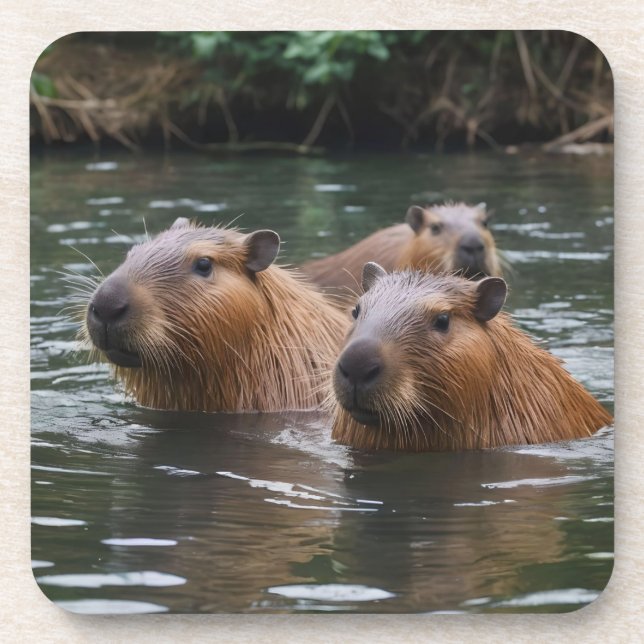 Posavasos Capybaras' Swimming In The River,  (Frente)