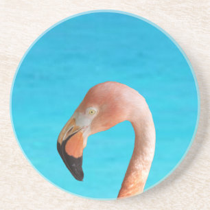 Posavasos Cara de flamenco rosa contra agua azul en un