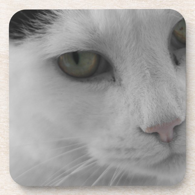 Posavasos Cara de gatos negros y blancos (Frente)