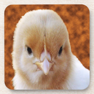 Posavasos Cara de pollo para bebés, galletas