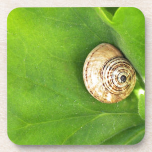 Posavasos caracol