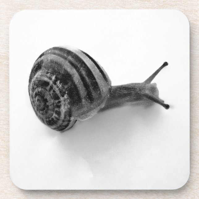 Posavasos Caracol B&W (Frente)