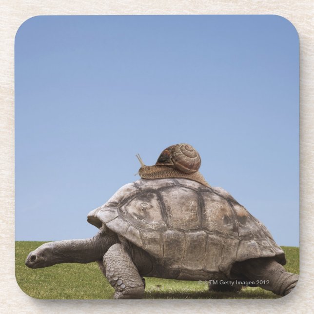 Posavasos Caracol sobre una tortuga (Frente)