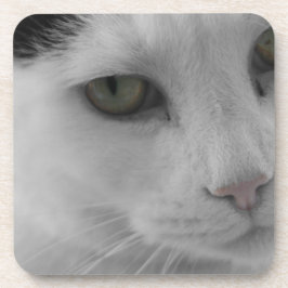 Posavasos Caras de gatos blancos y negros