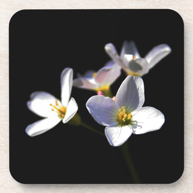 Posavasos Cardamine Pratensis Flores coastercna (Frente)