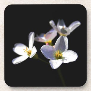Posavasos Cardamine Pratensis Flores de coastercnm