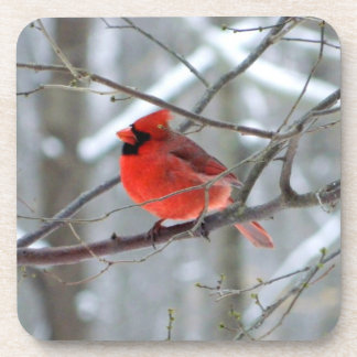 Posavasos Cardenal Chipper Winter