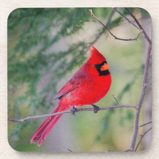 Posavasos Cardenal de Crimson
