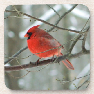 Posavasos Cardenal de invierno y montaña rusa