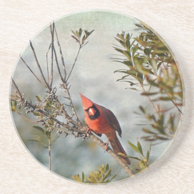 Posavasos Cardenal del Norte en Wax Myrtle (Frente)