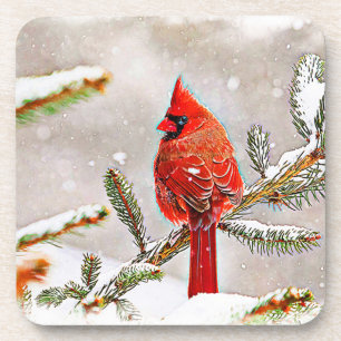 Posavasos Cardenal en un pino en invierno