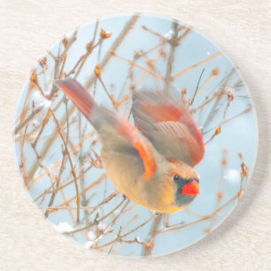 Posavasos Cardenal norte volando - Fotografía original