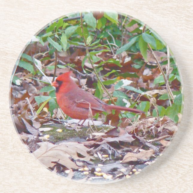 Posavasos Cardinal Songbird (Frente)