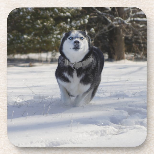 Posavasos Cargando a través (Frente)