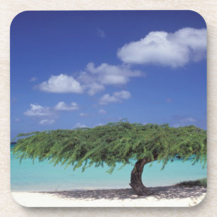 Posavasos Caribe, Aruba. Playa Eagle