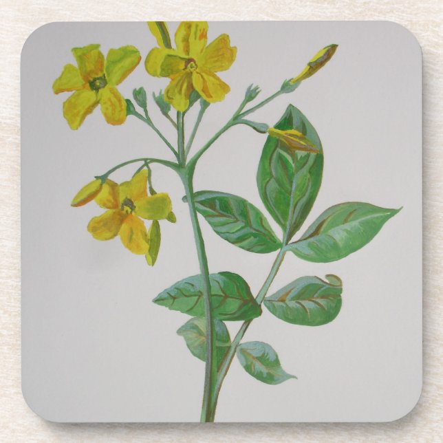 Posavasos Carolina Jasmine Botanic Art (Frente)