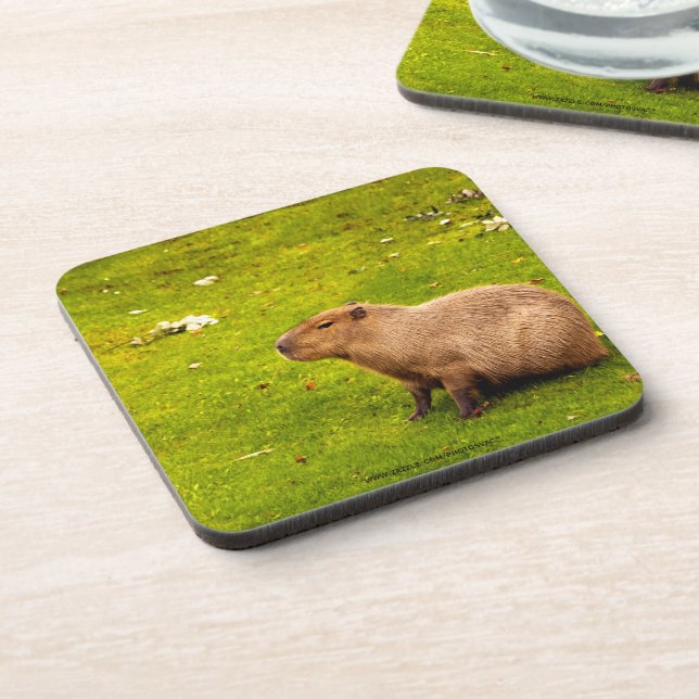 Posavasos Carpincho (Lado Izquierdo)