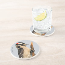 Carpintero lechoso en árbol de frutas