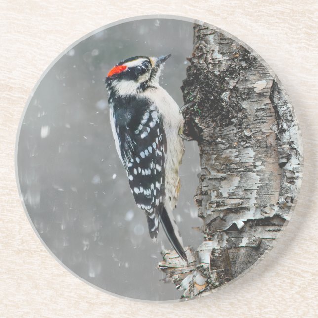 Posavasos Carpintero lechoso en nieve - Fotografía original (Frente)