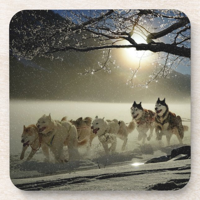 Posavasos Carrera de husky (Frente)