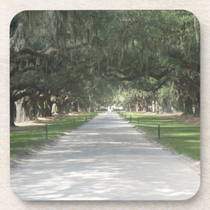 Posavasos Carretera de roble en Boone Hall, Castillos Charle