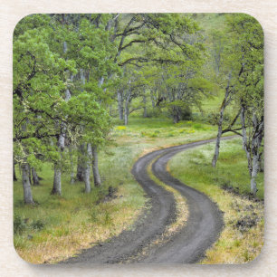 Posavasos Carretera rural a través de árboles, Oregon