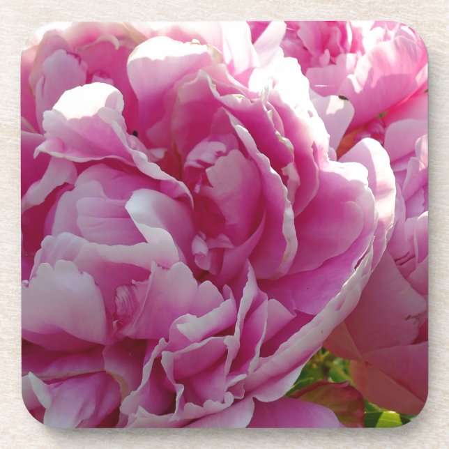 Posavasos Casa de campo de campo con flores de Pink Peony (Frente)