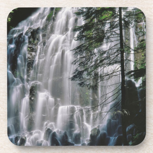 Posavasos Cascada en bosque, Oregón (Frente)