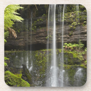 Posavasos Cascada Russell, Parque Nacional Mount Field,