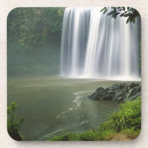 Posavasos Cascadas de Whangarei, Whangarei, Northland, Nueva