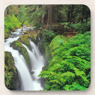 Posavasos Cascadas Sol Duc en el Parque Nacional Olímpico en