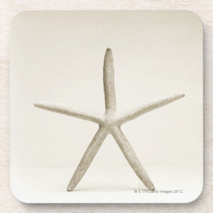 Posavasos Cáscara de los pescados de la estrella