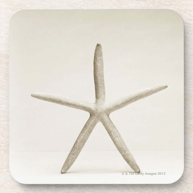 Posavasos Cáscara de los pescados de la estrella (Frente)