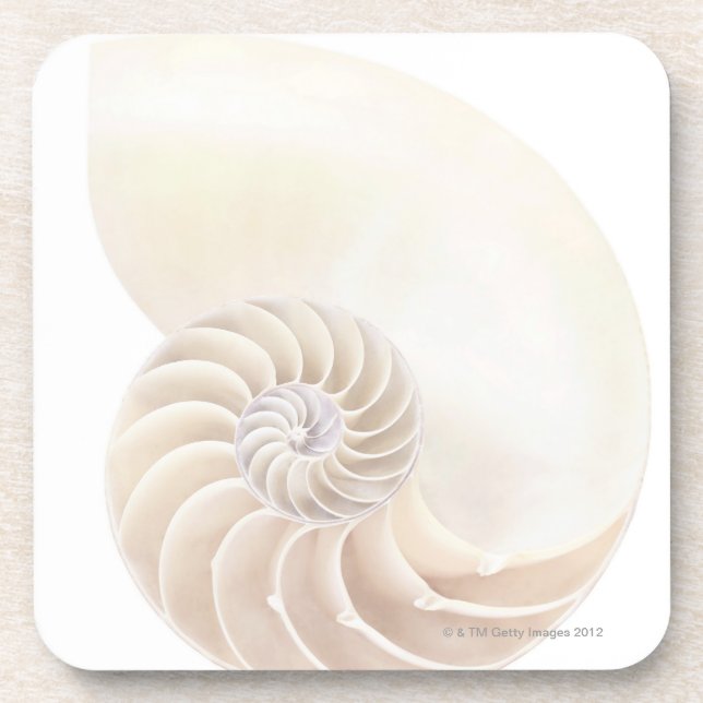 Posavasos Cáscara del nautilus, primer (Frente)