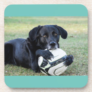 Posavasos Cáscaras de laboratorio negras. Set de seis.